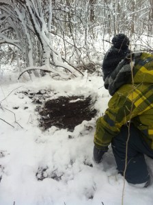 November 24 2013 deer scrape